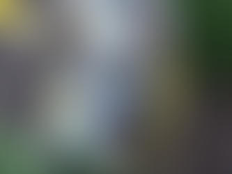 Welcome to the Pet Parade! May Council Recap