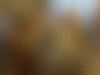 January 2026 Council Meeting Recap