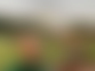 Jimmy's Chamblee Recap - Week of September 29, 2025