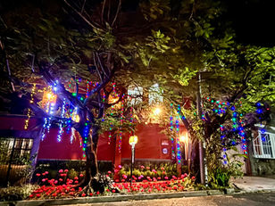 Así se disfrutan los momentos de Navidad con nosotros