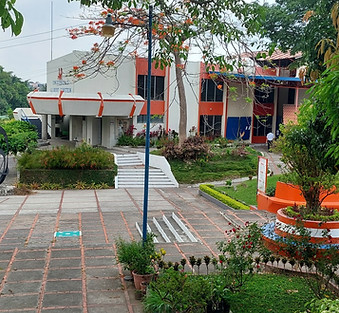 Universidad Albert Einstein