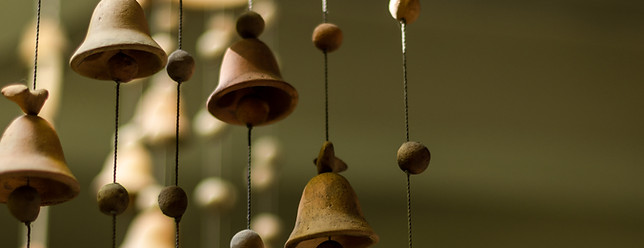 jardin-campanas-eco-hotel-arbol-de-fuego.jpg