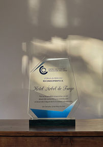 Certificado de calidad del Hotel Árbol de Fuego