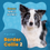 Miniatura: Painel Collie 2 (CEA e Glaucoma Primário de  Ângulo Fechado)