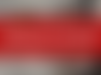 The Benefits of Professional Photography in Probate