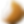 Egg Shell