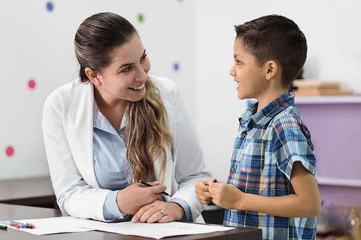 Atendimento Psicopedagógico Psicopedagoga Clínica e Neuropsicopedagoga