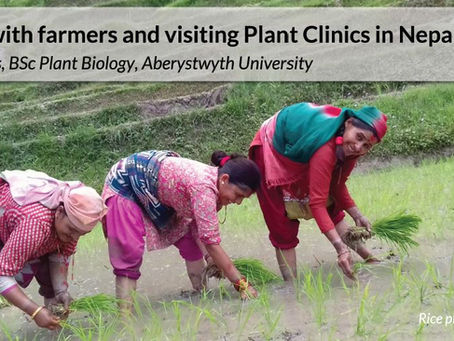 Agricultural Extension Internship in Nepal (2017)