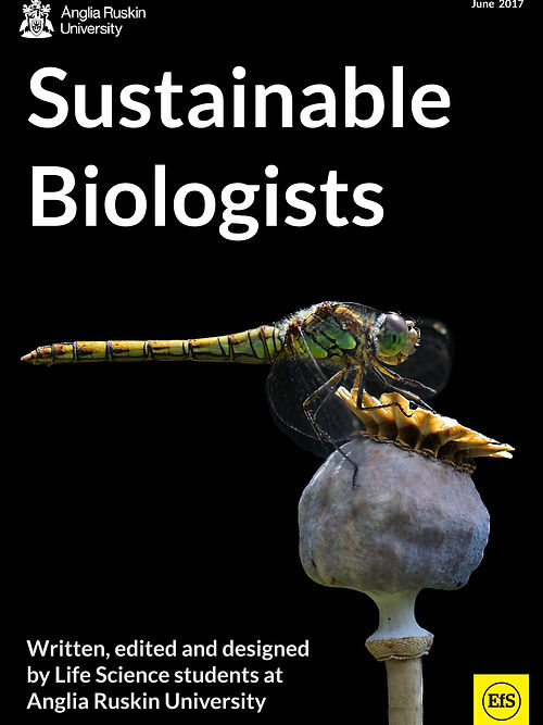 June Issue