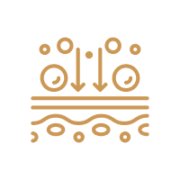 頑固內臟脂肪積聚.png