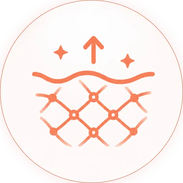 Ellipse 722.webp