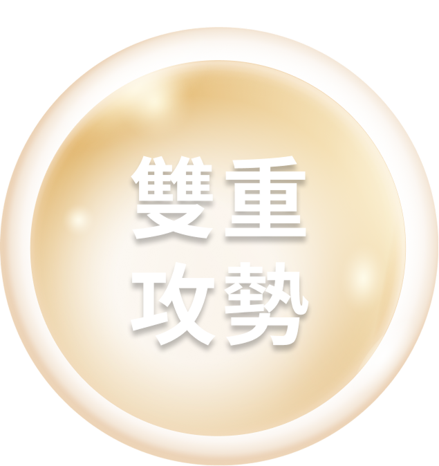 雙重攻勢.png