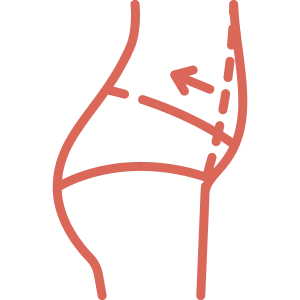 腹部.webp