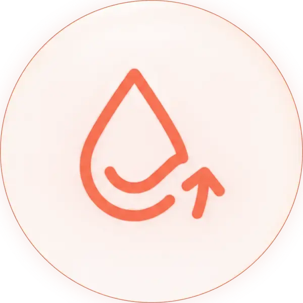 Ellipse 719.webp