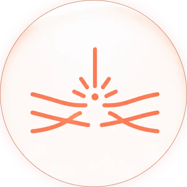 Ellipse 721.webp