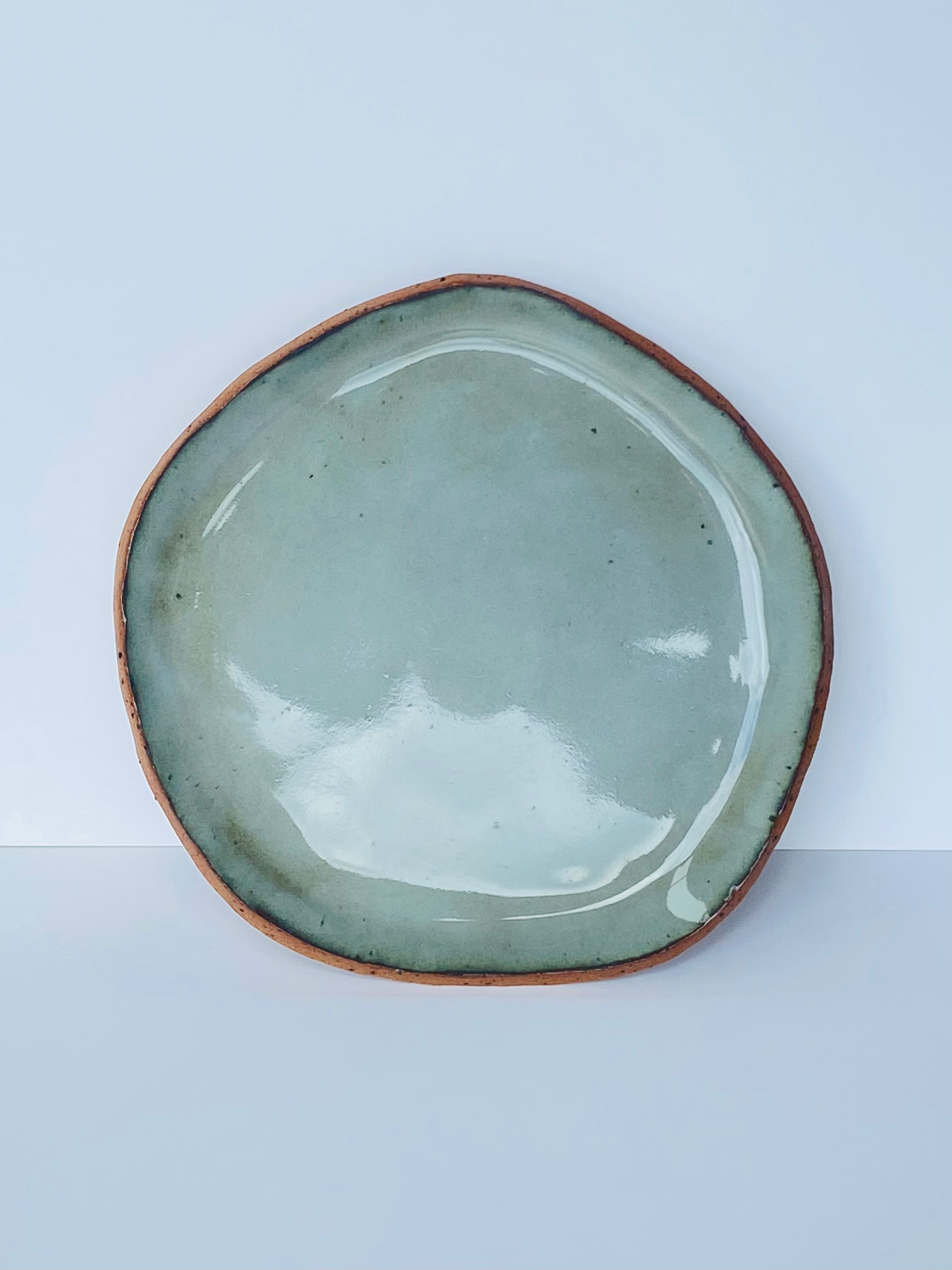 Nesting Plate :: Ocean
