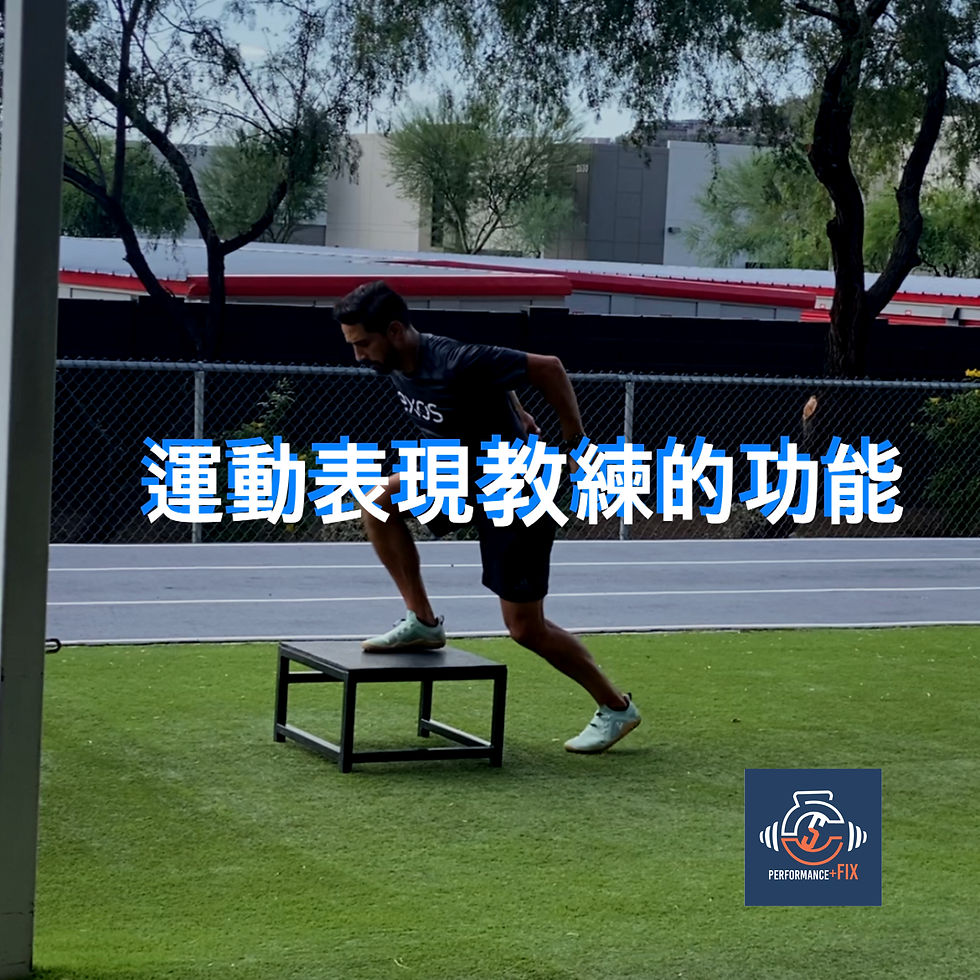 運動表現教練的功能