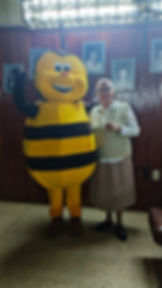 Colmena