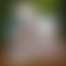 Manifesting Moon Empowerment Tool Kit stones crystals journal sage Palo Santo Vibrational Waters