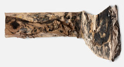 Obra Francisca Valenzuela 04_edited