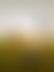 Mastering Anxiety in Golf: Strategies for Peak Performance