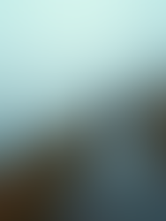 Effective Strategies to Move Past Mental Barriers