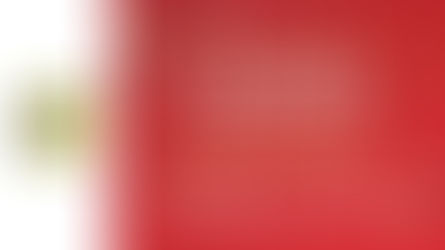 🧧🎈 新春初詣盛宴🎈🧧