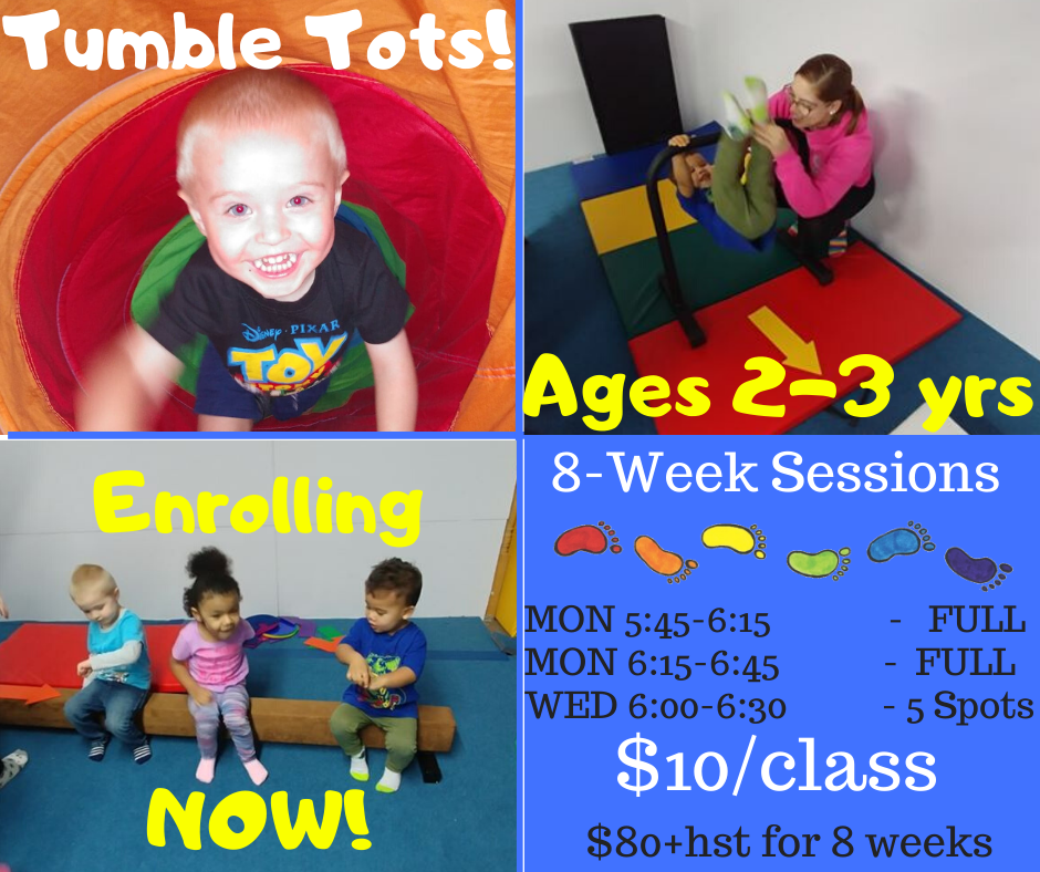 Copy of FirstSteps (2)