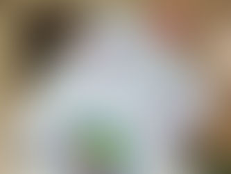 Како во Аlphabet Language School се учи „Среќен роденден“ на германски – преку вистински зборови и искрени честитки