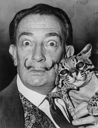 Il pittore Dalì con gatto