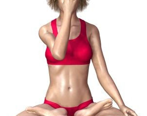 Nadi Shodana: libera i canali energetici dalle impurità.