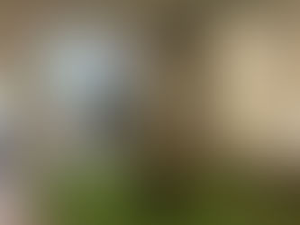 Prestations de fooball freestyle lors d'un séminaire pour la société IDverde