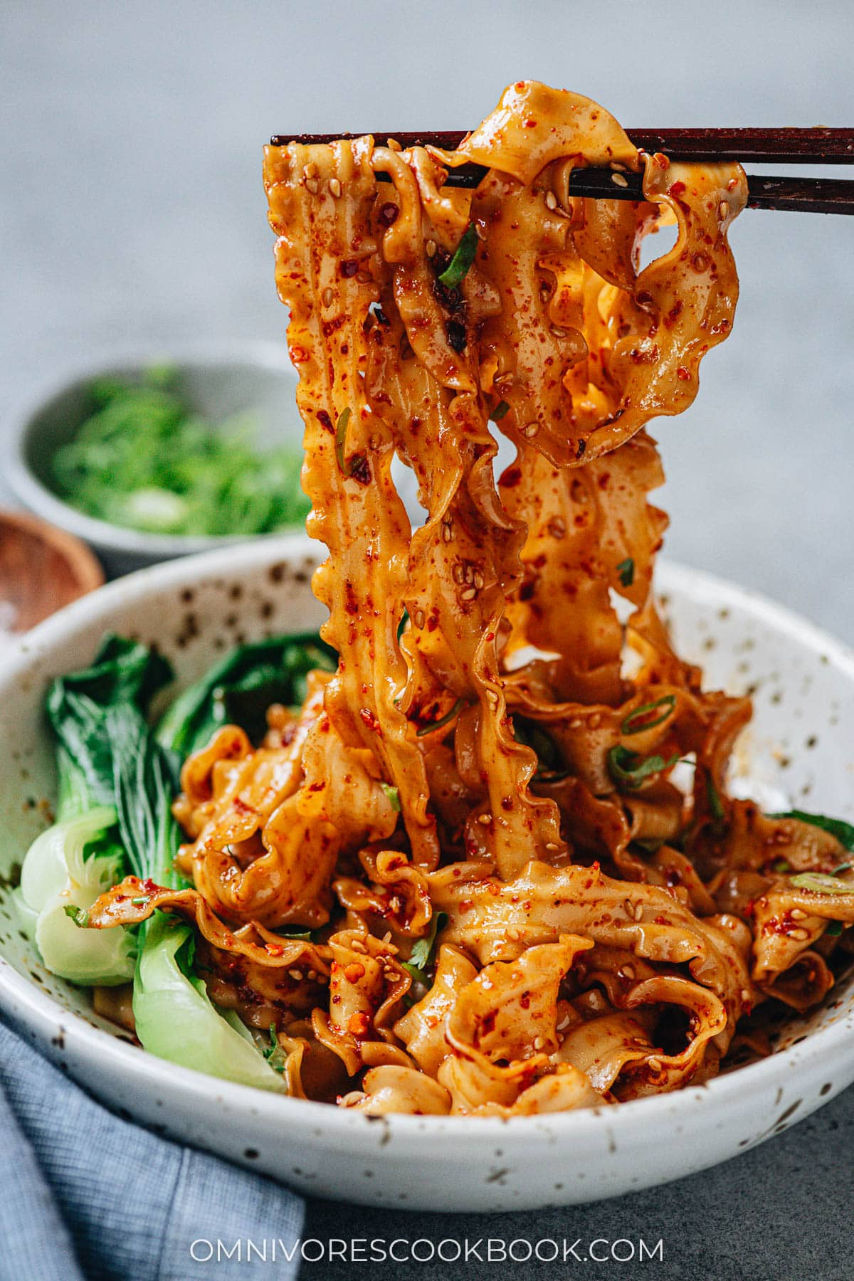 Xi'an Noodle: Biang Biang Noodles