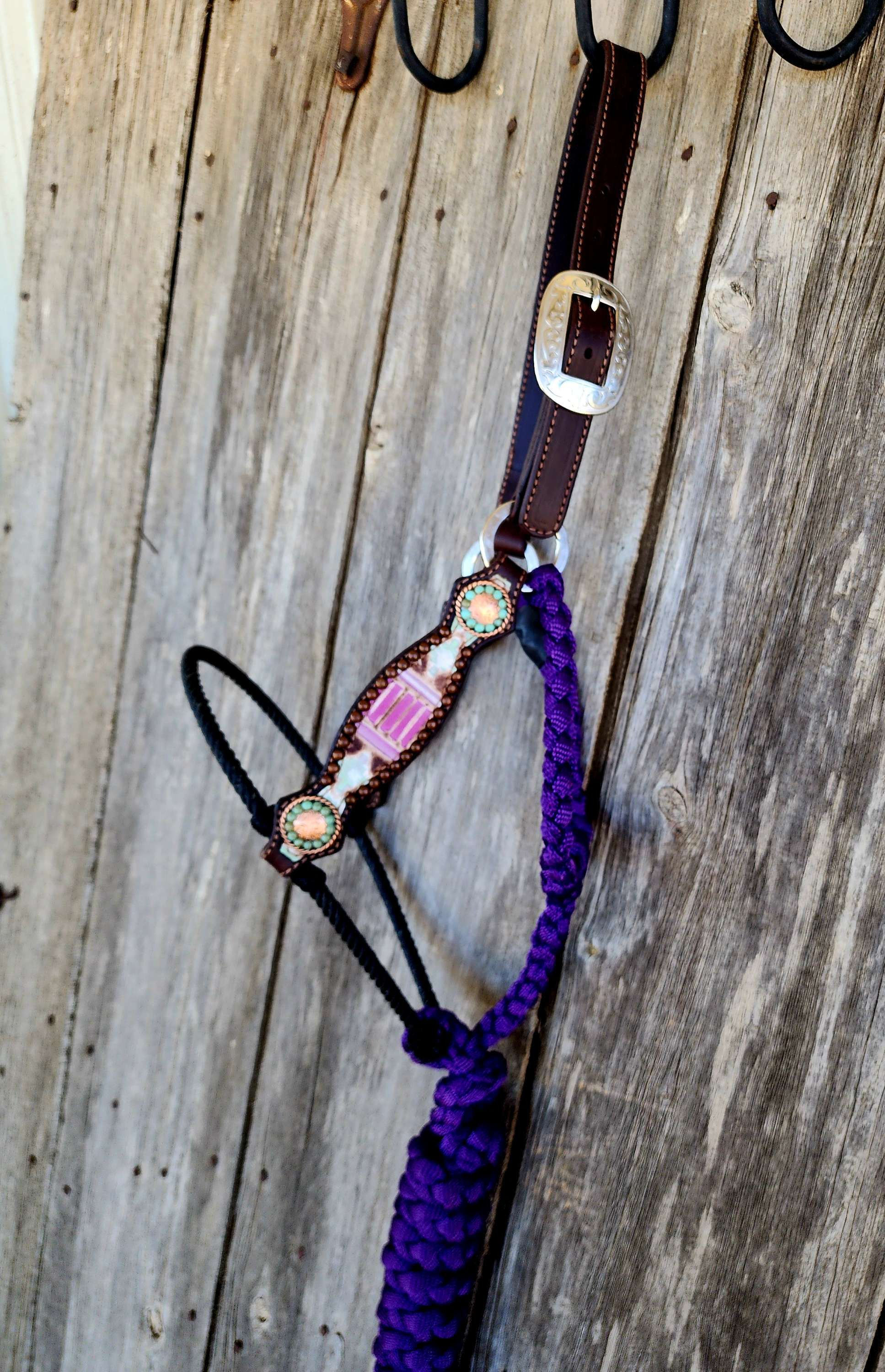 Purple Lariat Noseband Halter