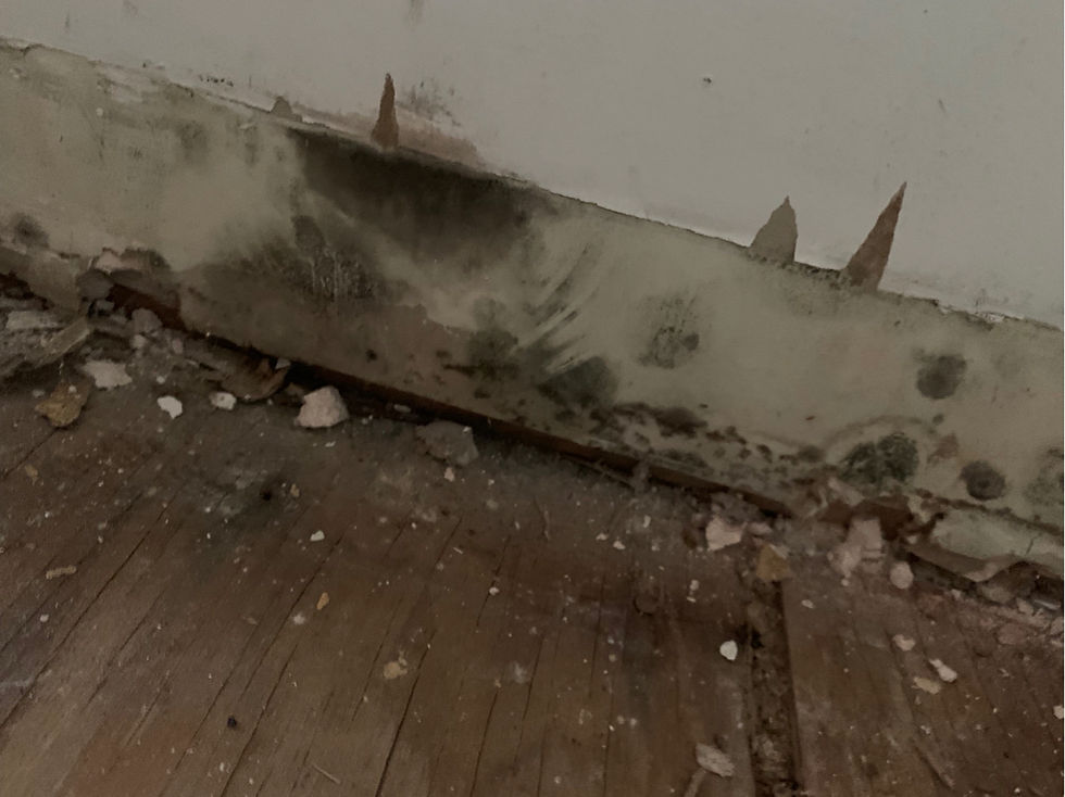 Water Damaged Basement