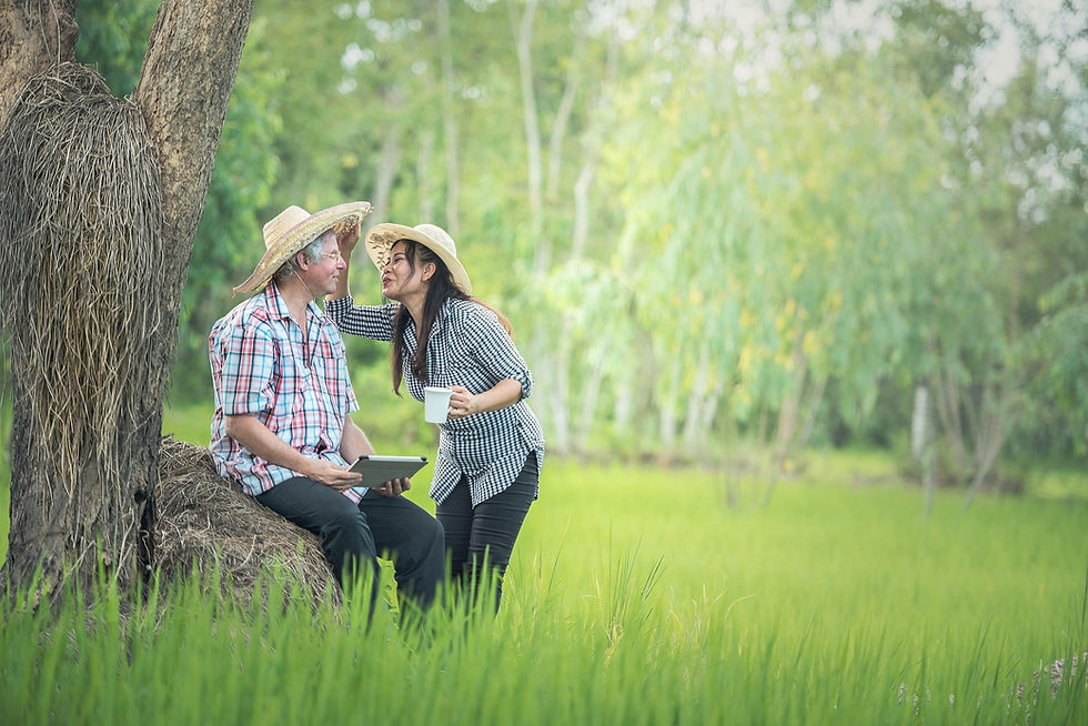 Understanding Trusts in North Carolina: Testamentary, Revocable, and Irrevocable Options