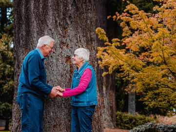 Updating a Revocable Living Trust in North Carolina: What You Need to Know