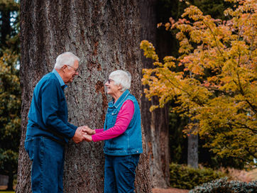 Updating a Revocable Living Trust in North Carolina: What You Need to Know