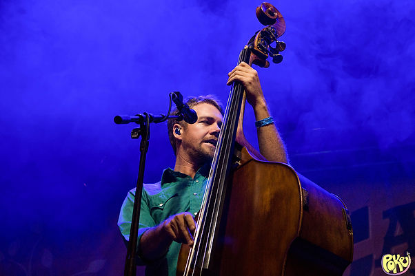 stringdusters1QWYK.jpeg