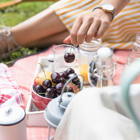 International Picnic Day 2025!