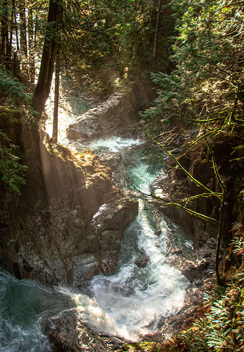 Campbell River Tourism Photography: "Tourism photography in Campbell River, capturing the area’s breathtaking landscapes, coastal views, and adventure activities on Vancouver Island."
Comox Valley Tourism and landscape Photography: "Scenic tourism photography in Comox Valley, Vancouver Island, showcasing mountain landscapes, ocean views, and local wildlife."
Alberni Valley Nature and Tourism Photography: "Tourism photography in Alberni Valley, Vancouver Island, highlighting rivers, forests, and the valley's natural beauty for visitors and locals alike."
Nanaimo Travel and Tourism Photography: "Professional tourism photography in Nanaimo, Vancouver Island, capturing the city’s waterfront, parks, and popular landmarks for travel promotion."
Vancouver Island landscapes, Vancouver Island nature photography