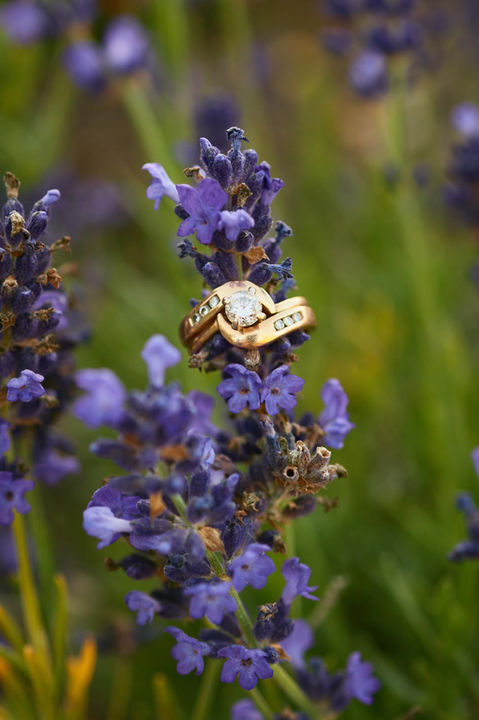 Campbell River Wedding Photography: "Romantic wedding photography in Campbell River, Vancouver Island, coastal and forest landscapes for timeless ceremony moments."
Comox Valley Wedding Photographer: "Professional wedding photographer in Comox Valley, capturing couples' special day against Vancouver Island’s views."
Alberni Valley Wedding Photos: "Wedding photography in Alberni Valley, Vancouver Island, with natural candid images among beautiful outdoor backdrops."
Nanaimo Wedding Photography Services: "Elegant wedding photography in Nanaimo, Vancouver Island, capturing the joy of each couple at scenic venues and waterfront locations."
Parksville couple photographer, Campbell River engagement photographer, Comox Valley couple photoshoot, Campbell River couple photo session, Comox Valley couple portraits photos.