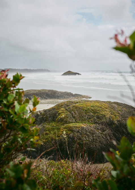 Campbell River Tourism Photography: "Tourism photography in Campbell River, capturing the area’s breathtaking landscapes, coastal views, and adventure activities on Vancouver Island."
Comox Valley Tourism and landscape Photography: "Scenic tourism photography in Comox Valley, Vancouver Island, showcasing mountain landscapes, ocean views, and local wildlife."
Alberni Valley Nature and Tourism Photography: "Tourism photography in Alberni Valley, Vancouver Island, highlighting rivers, forests, and the valley's natural beauty for visitors and locals alike."
Nanaimo Travel and Tourism Photography: "Professional tourism photography in Nanaimo, Vancouver Island, capturing the city’s waterfront, parks, and popular landmarks for travel promotion."
Vancouver Island landscapes, Vancouver Island nature photography