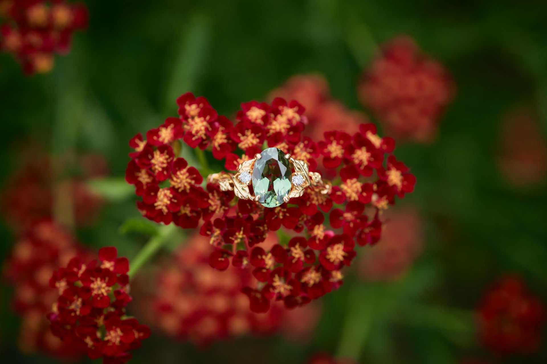 Close-up of wedding rings on moss-covered forest floor, captured by a Comox Valley and Campbell River wedding photographer, perfect for engagement photos, couple photography, and detail shots on Vancouver Island, highlighting natural textures, vibrant greens, and intimate wedding details.