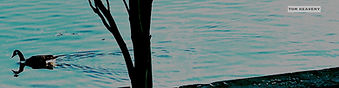 comp photo 41.jpg