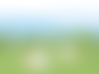 失去牧人的小羊