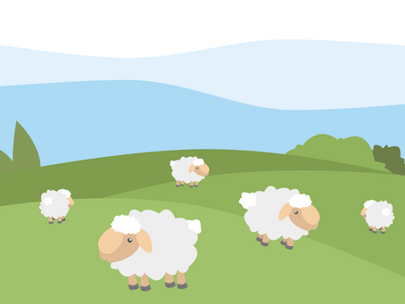 失去牧人的小羊