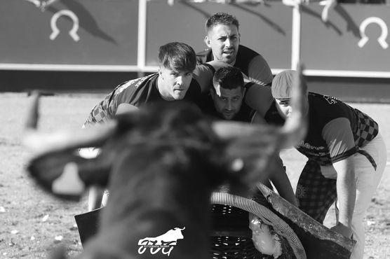 22_04_2023 tauste (6).jpeg