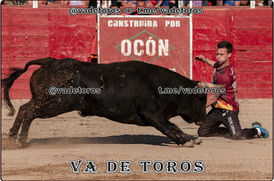 22_04_2023 talamanca (19).jpeg