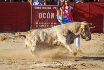 WhatsApp Image 2022-09-07 at 13.38.06 (4).jpeg